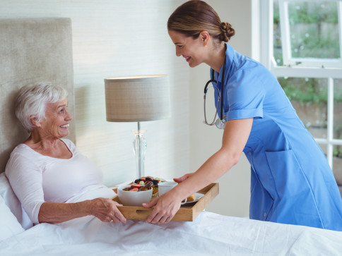 Home Care Agencies Duluth Mn